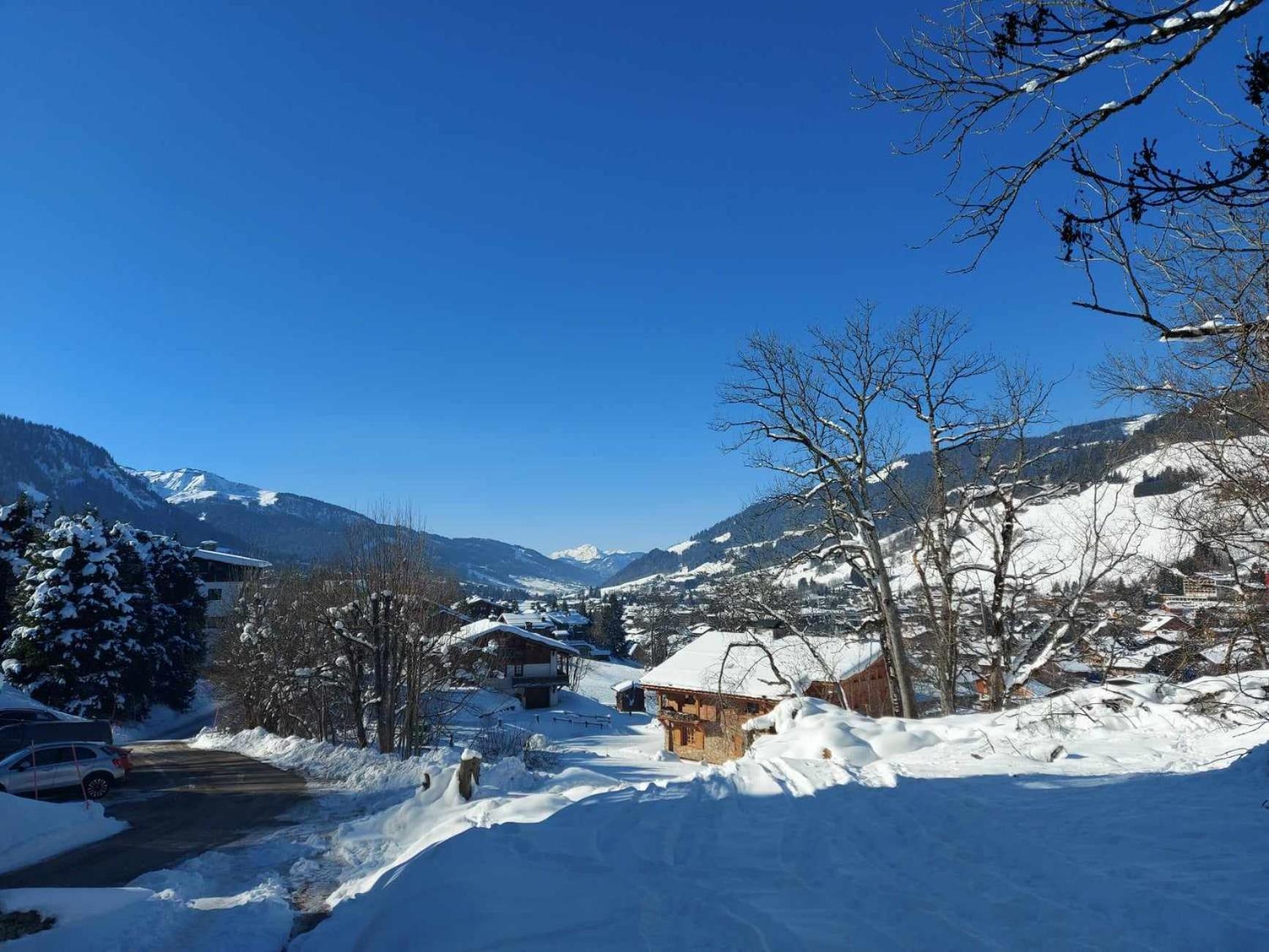 Logement A Megeve Avec Jardin Dış mekan fotoğraf
